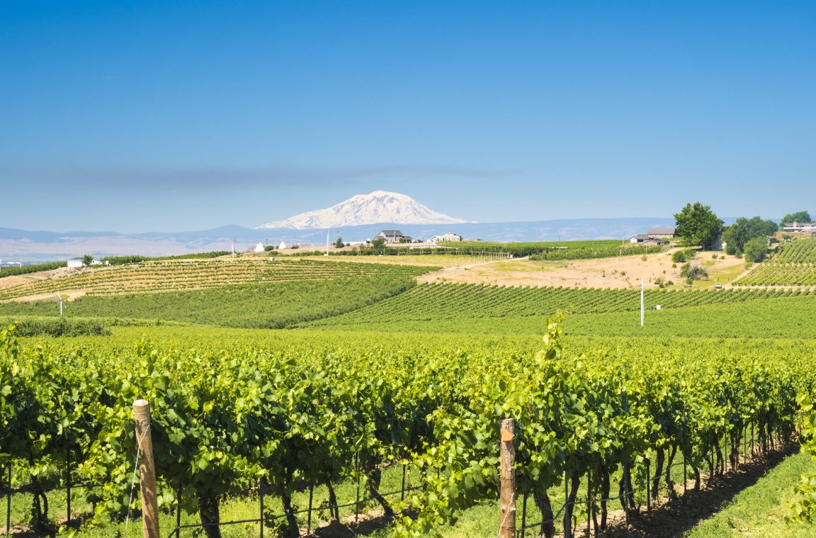 3 Reasons to Visit Walla Walla Make It Magic
